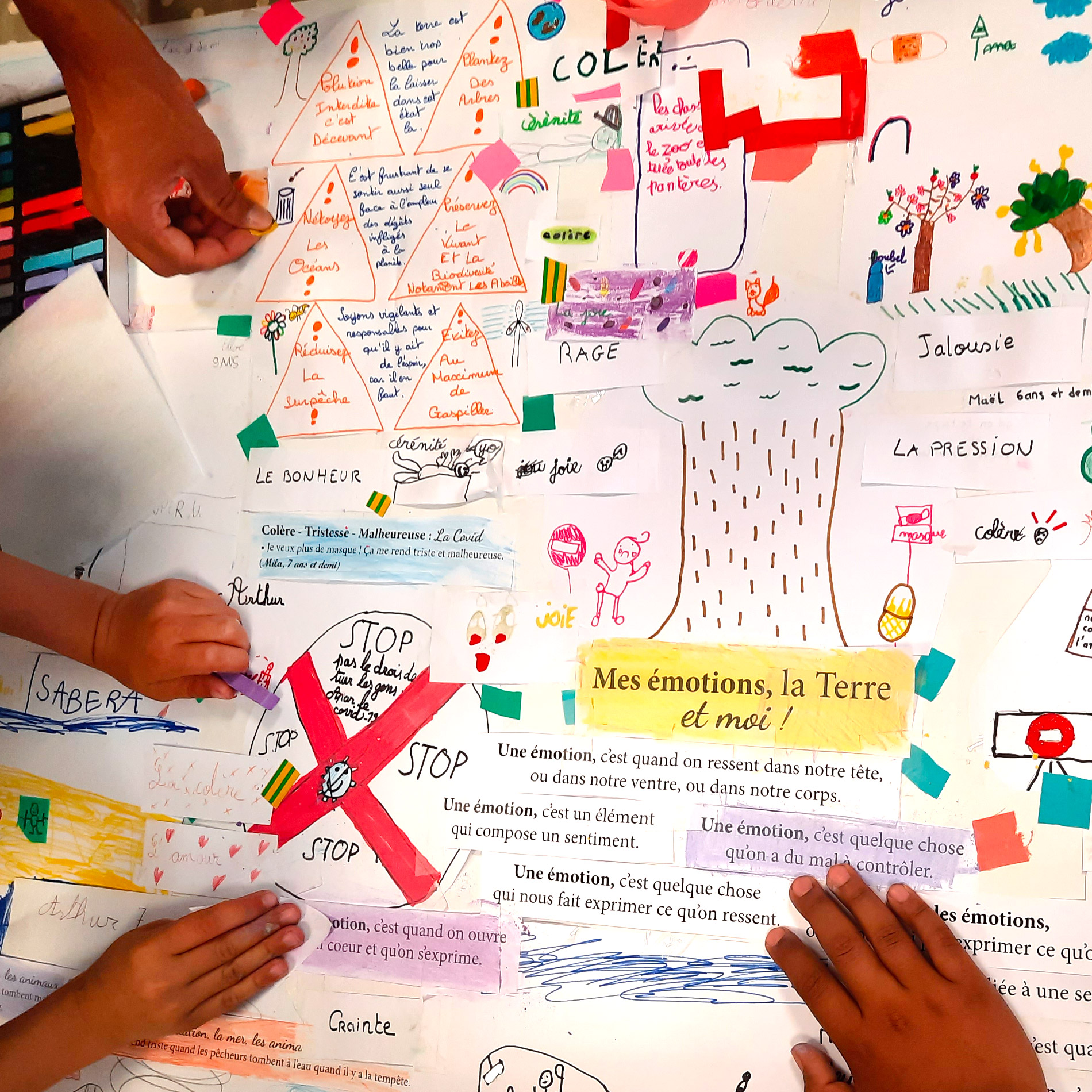 atelier-ecocitoyennete emotions enfant adolescent